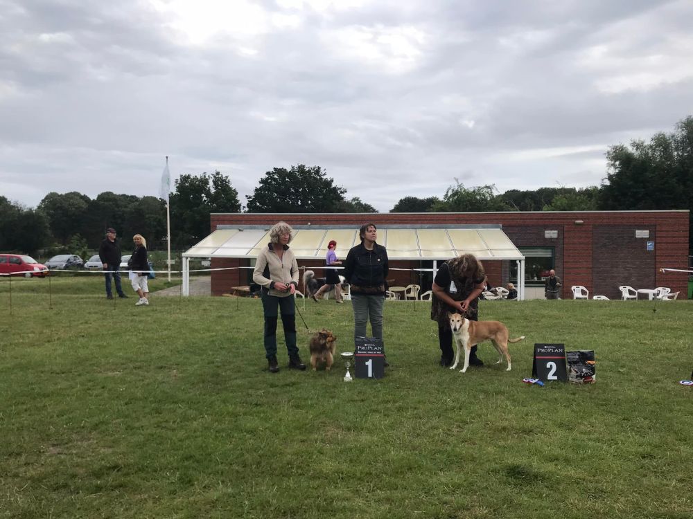 Beste rashond Clubmatch