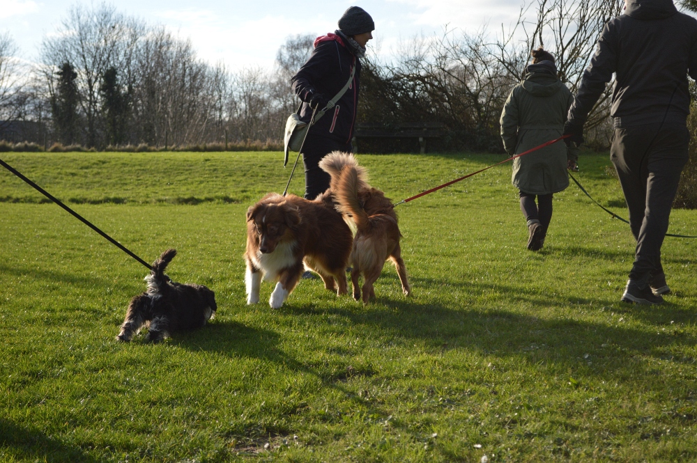 Nieuwjaarsreceptie 2024