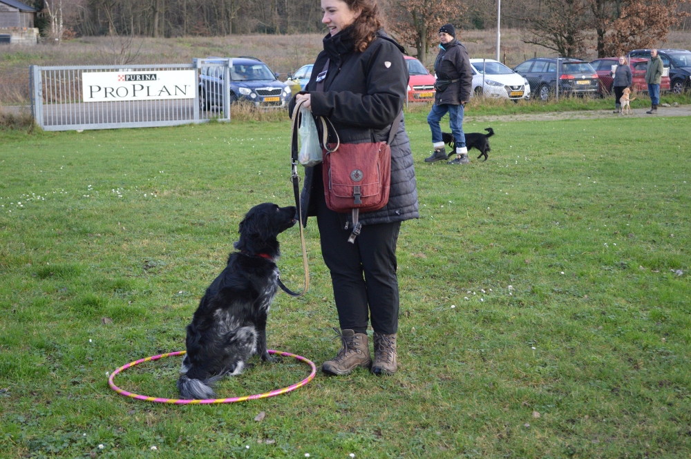Gezelligheid nieuwjaar